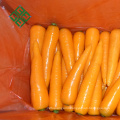 2017 chinese fresh carrot